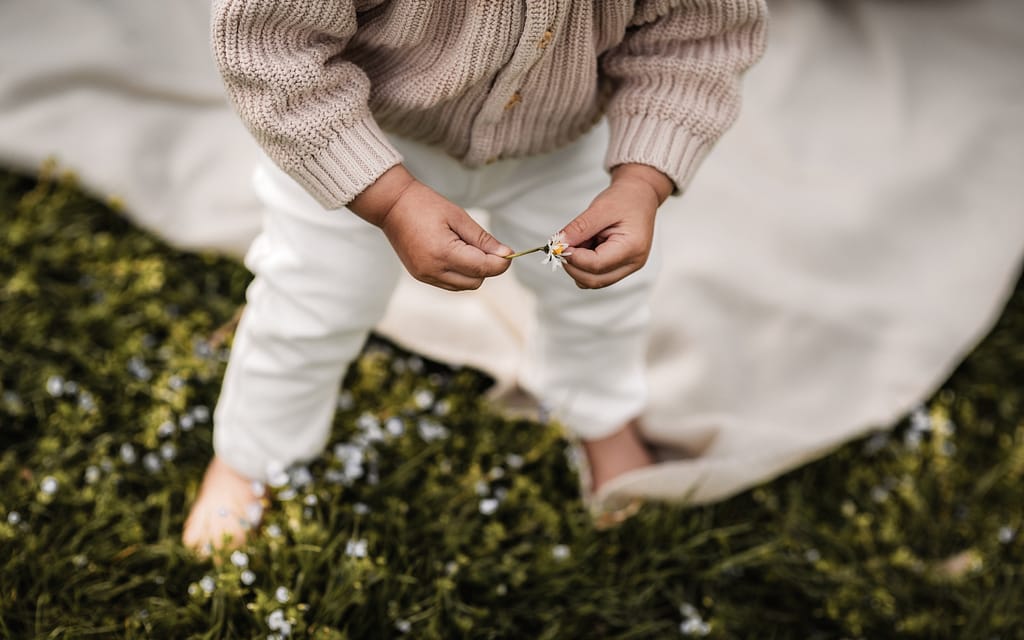 Detailausnahme von kleinen Kinderhänden mit einem Gänseblümchen beim Familienshooting draußen. Im Hintergrund ist Gras und deine helle Picknickdecke zu sehen.