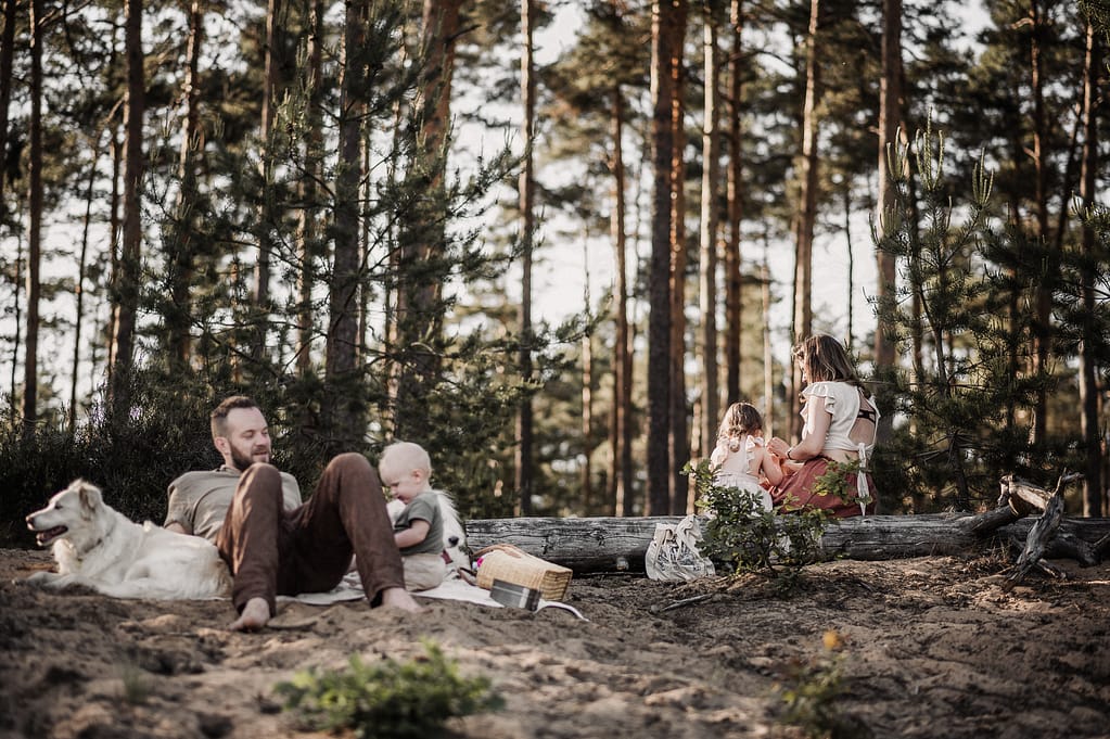 Familie beim Picknick zwischen hohen Kiefern, Weitwinkelaufnahme.