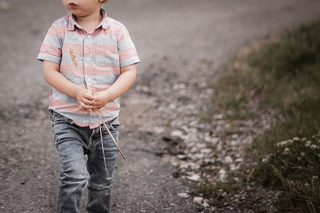 3-jähriger Junge beim Familienshooting mit einer Getreide-Ähre in der Hand.