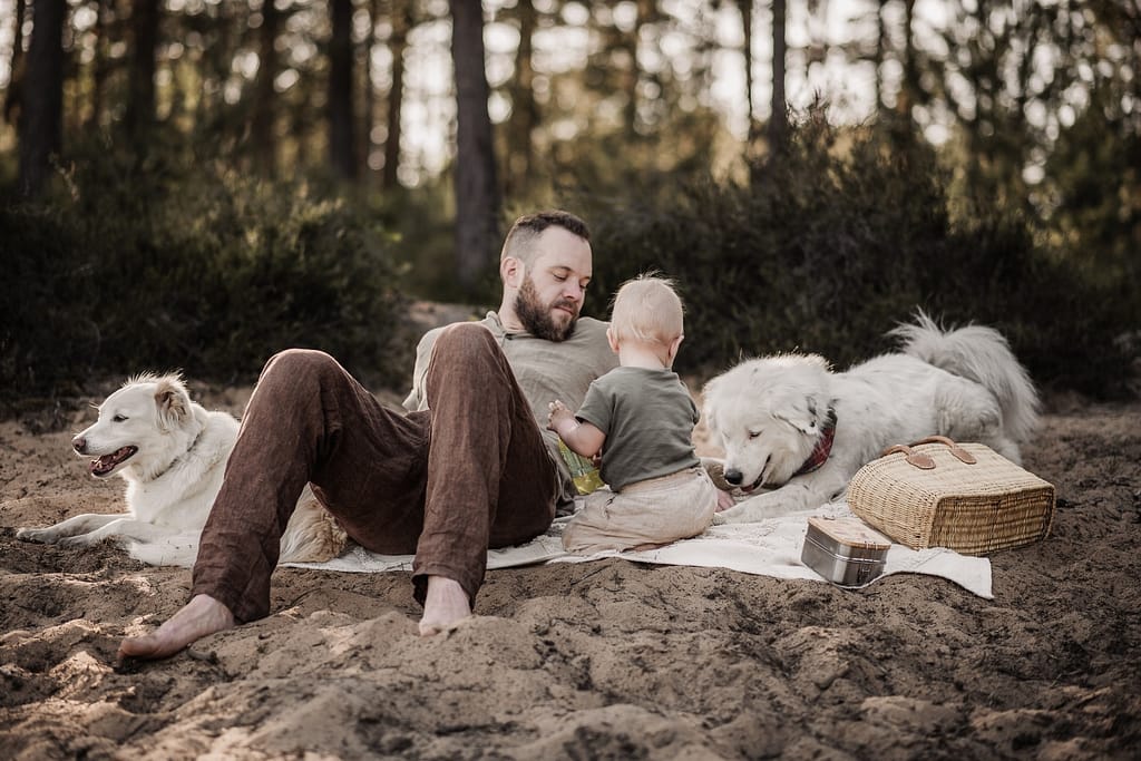 Papa mit kleinem Sohn und 2 Hunden auf einer Picknickdecke am fränkischen Dünenweg beim Familienshooting.
