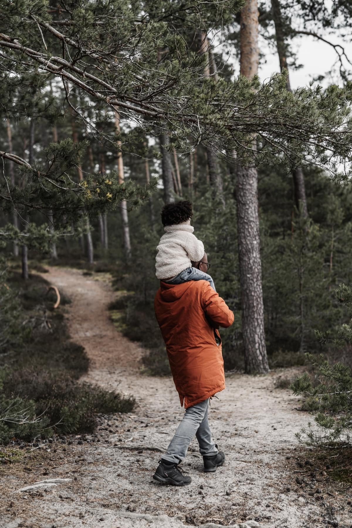 Familienfotos mit Winter mit Papa, der sein Kleinkind Auf den Schultern trägt. Sie aufen auf einem Sandigem Weg zwischen Kiefernwäldern im Winter.