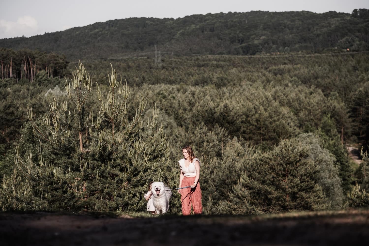 Mama mit großem weißen Hund an der Leine läuft einen sandigen Weg hoch. Im Hintergrund ist viel weiter Wald zu sehen. Ein Kleinkind ist versteckt hinter dem Hund zu sehen.