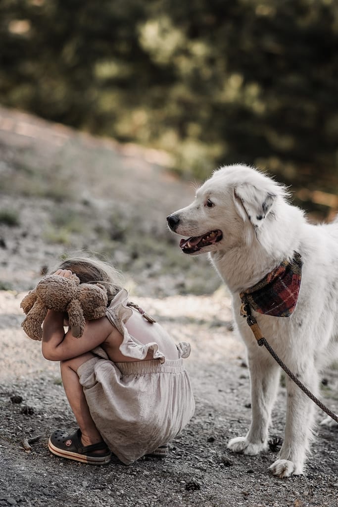 3-jähriges Mädchen hockt im Sand neben einem weißen Hund beim Familienshooting am fränkischen Dünenweg.